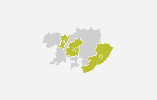 Transmontano - DOP